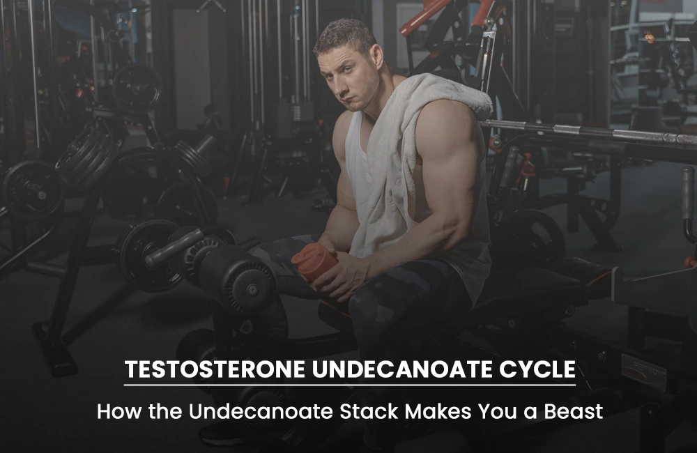 Testosterone Undecanoate Cycle