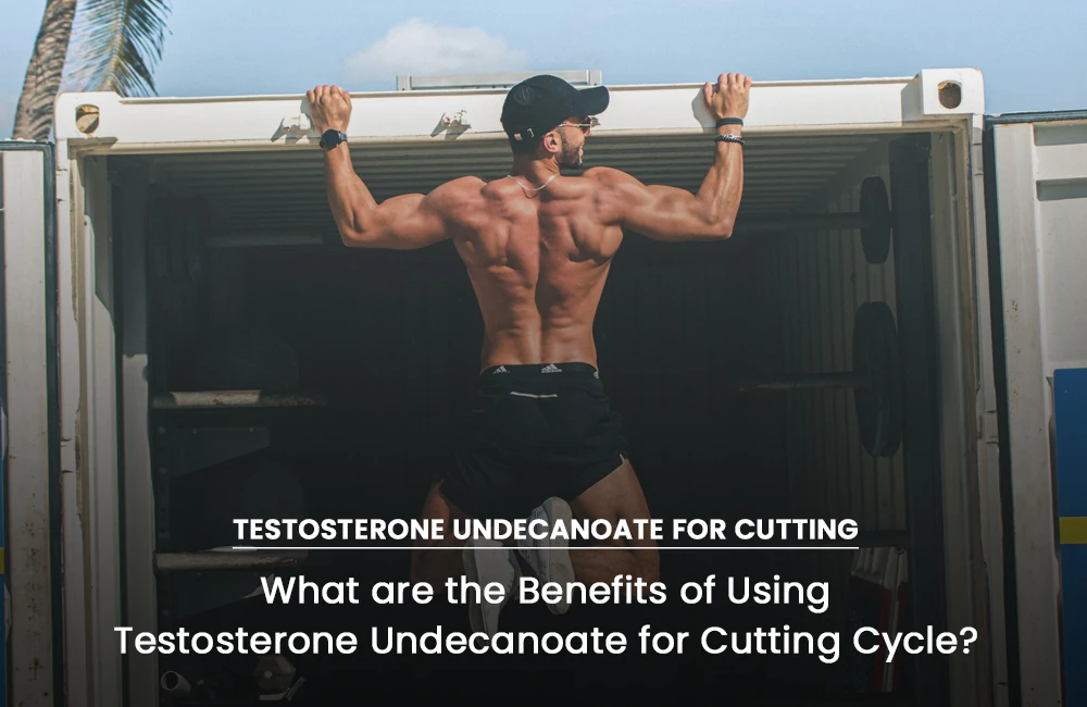 Testosterone Undecanoate cutting cycle benefits