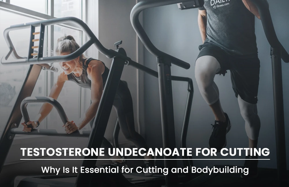 Testosterone Undecanoate for cutting